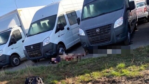 Жительницу Астрахани насмерть загрызли собаки