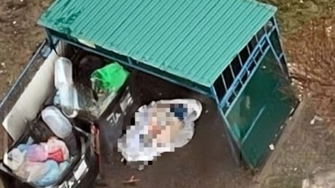 Труп мужчины нашли у мусорки в поселке под Петербургом