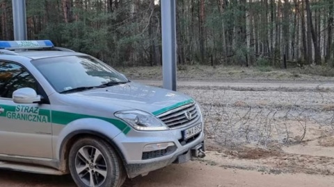 Польские пограничники заявили о нападении нелегалов со стороны Белоруссии