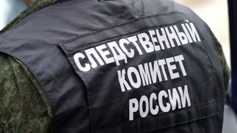 Бабушка выбросила маленькую внучку с балкона в Кстове