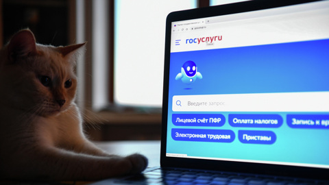 Госуслуги ни разу не вывели из строя с начала СВО