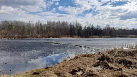 Подросток ушел под лед на пруду под Тверью