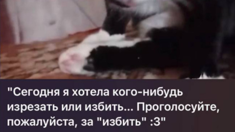 Живодерка предлагает в интернете выбрать вид издевательства над животным