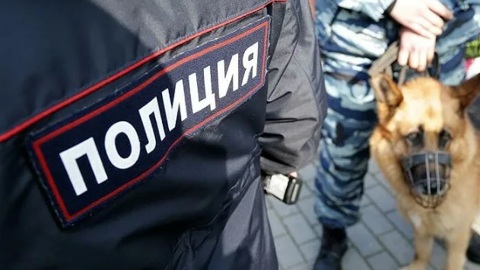 Из-за исчезновения школьницы в Нижнем Новгороде возбудили дело
