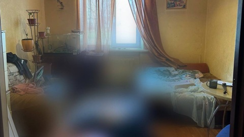 Москвичка зарезала сожителя во время ссоры на Пасху
