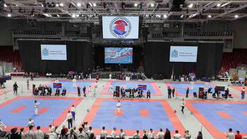 Сборная России выступит под своим флагом на чемпионате мира по тхэквондо