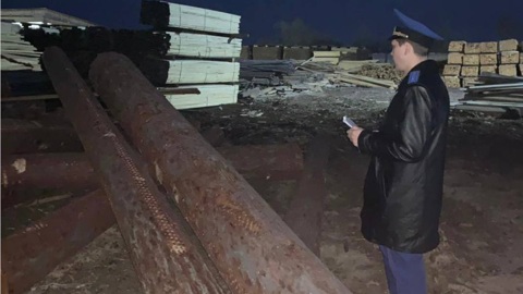 Ребенка насмерть задавило бревном в Приморье