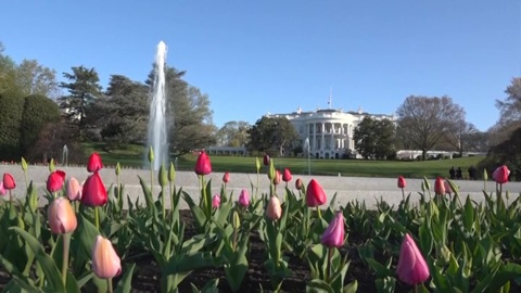 В США назвали главную цель украинского контрнаступления