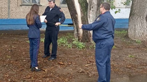 Упавшая ветка убила женщину в Саратовской области