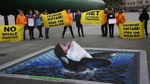 В России признали нежелательной деятельность Greenpeace