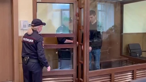 Жестоко расправившегося с бабушкой москвича отправили в СИЗО