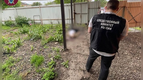 Юноша зарезал соседа из-за бегавшей по двору собаки