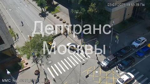 Упавшее дерево парализовало движение по улице в центре Москвы