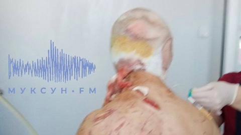 Белый медведь напал на семью с ребенком на Ямале