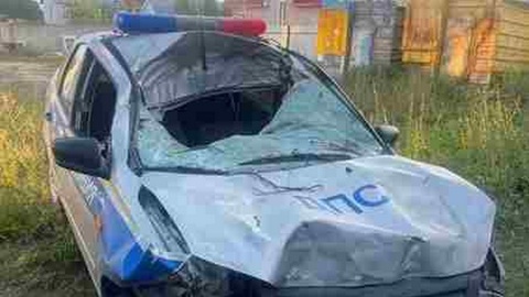 Машина ДПС столкнулась с лосем по пути в Ижевск