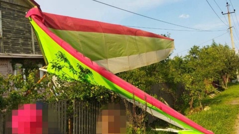 Мотодельтаплан упал на частный дом в Ленобласти