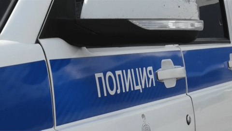 Житель Подольска выкинул с 11 этажа свою собаку