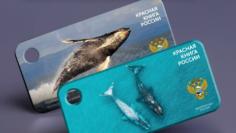 Московское метро выпустило брелоки "Тройка" с краснокнижными китами