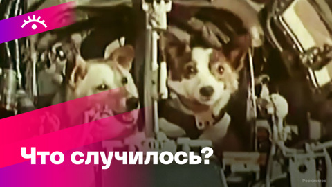 19 августа. События, факты, традиции