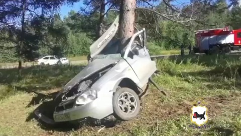 Три человека погибли в "намотавшейся" на дерево "Гранте"
