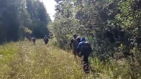 В Красноярском крае нашли неделю плутавшего в лесу грибника