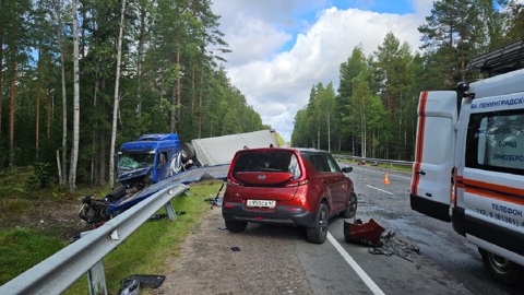 Два человека погибли в массовой аварии с грузовиком под Петербургом