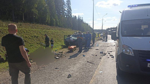 Сбившего велосипедисток водителя тягача взяли под стражу