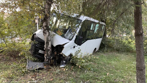 Маршрутка с пассажирами врезалась в дерево в Саратове