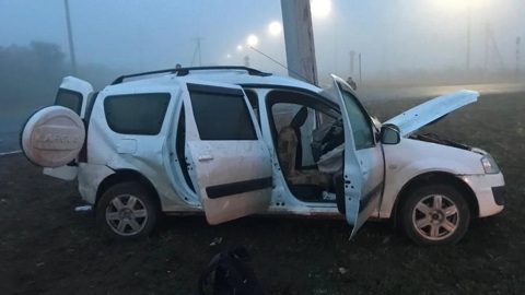 Три человека погибли под Саратовом после столкновения с опорой ЛЭП