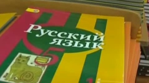 Каждый пятый считает, что русский разговорный надо приравнять к литературному