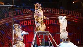 Более 20 стран примут участие в I Международном фестивале циркового искусства "Без границ"