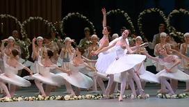 Гала-концерт в честь балетмейстера Мариуса Петипа прошел в Большом театре