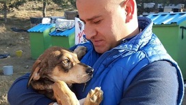 В Турции отношение к животным меняется на глазах