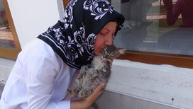В Турции отношение к животным меняется на глазах