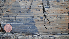 Уникальные окаменелости найдены в скалах северной Канады. 