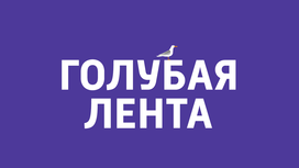 Сергей Стиллавин и его друзья