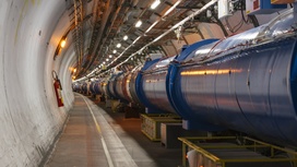 На Большом адронном коллайдере открыли "неуловимый" распад бозона Хиггса