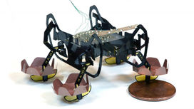 Робот-таракан HAMR научился ходить по воде и под водой