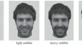 Учёные делали фотографии волонтёров при одинаковом освещении, когда они были гладко выбриты, с лёгкой щетиной (через 5 дней), с густой щетиной (10 дней) и уже с вполне отчётливой бородой (4 недели) 