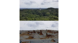 Лидар вместо лопаты: сканирование джунглей помогло обнаружить десятки тысяч построек майя