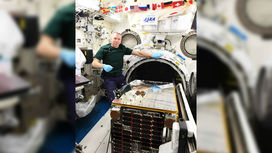 На МКС начали первое тестирование спутника для сбора космического мусора