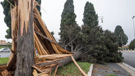 В Европе ураган "Юнис" унес жизни 16 человек