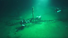 На дне Красного моря нашли затонувшее судно XVIII века