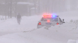 Снежная буря унесла жизни не менее девяти человек в США