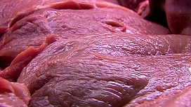 Алтай: ветеринары обнаружили зараженное сибирской язвой мясо