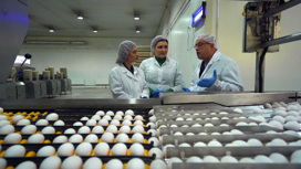 "Вся сила в яйцах": ведущие "Формулы еды" побывали на птицефабрике