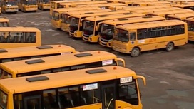 Калужские депутаты обратятся к Мишустину по поводу закона о школьных автобусах