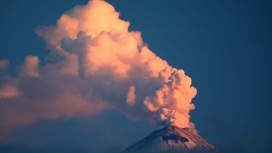 Павел Плечов: "Находиться рядом с вулканами в момент извержения – это действительно опасная вещь"