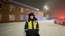 Проверка документов инспекторами ДПС в Челябинской области обернулась скандалом