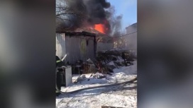 Росгвардейцы в Колпино вытащили людей из горящего здания